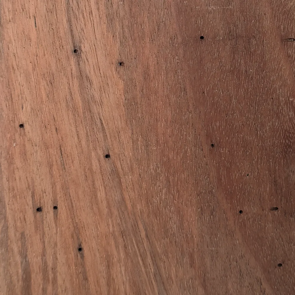 Pinholes